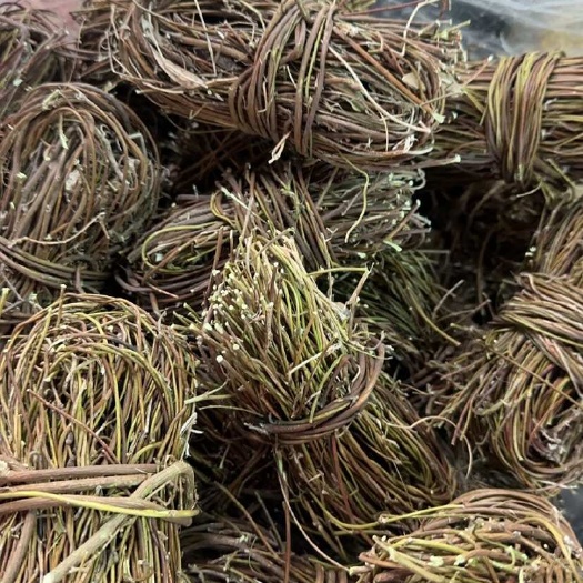 广州鸡骨草