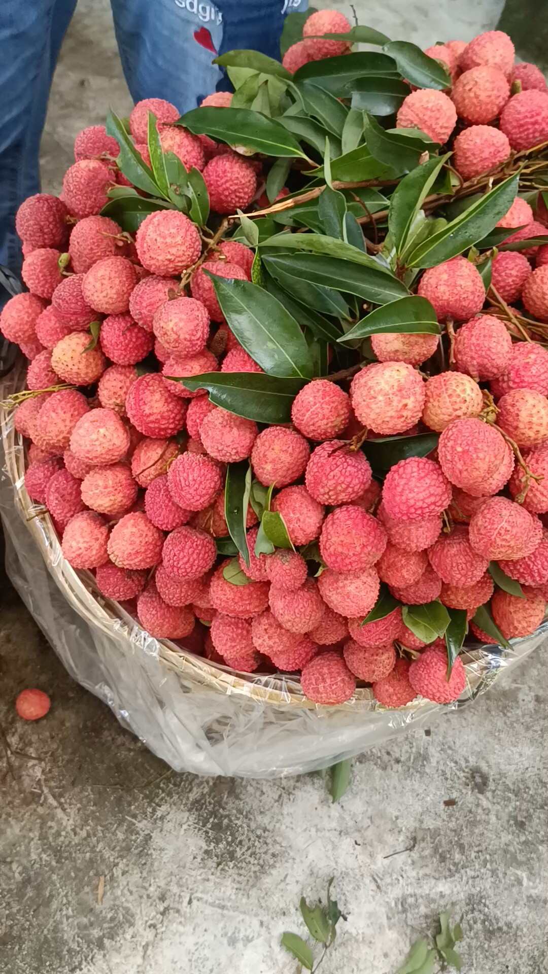 广东饶平小核桂味