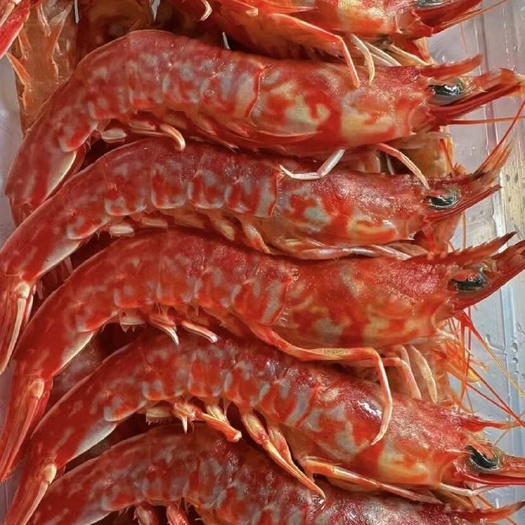 东山县樱花虾