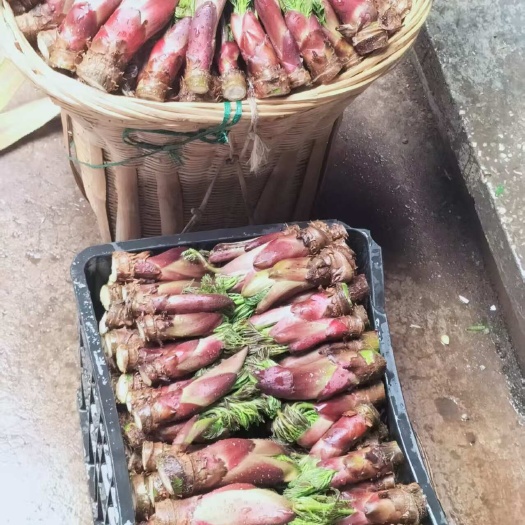 弥渡县刺老芽