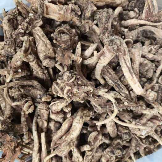 玉林云南当归当归中药材优质当归