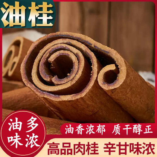 玉林广西高山紫油桂 广西直发2斤起批发