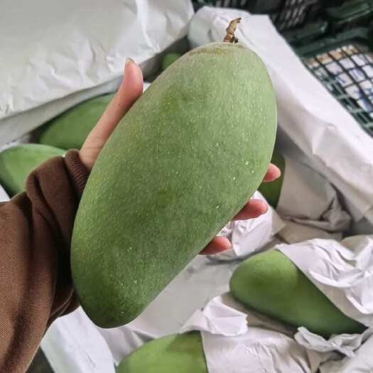 昆明【甜】越南大青芒玉芒芒果新鲜应季孕妇水果皮薄一整箱批发
