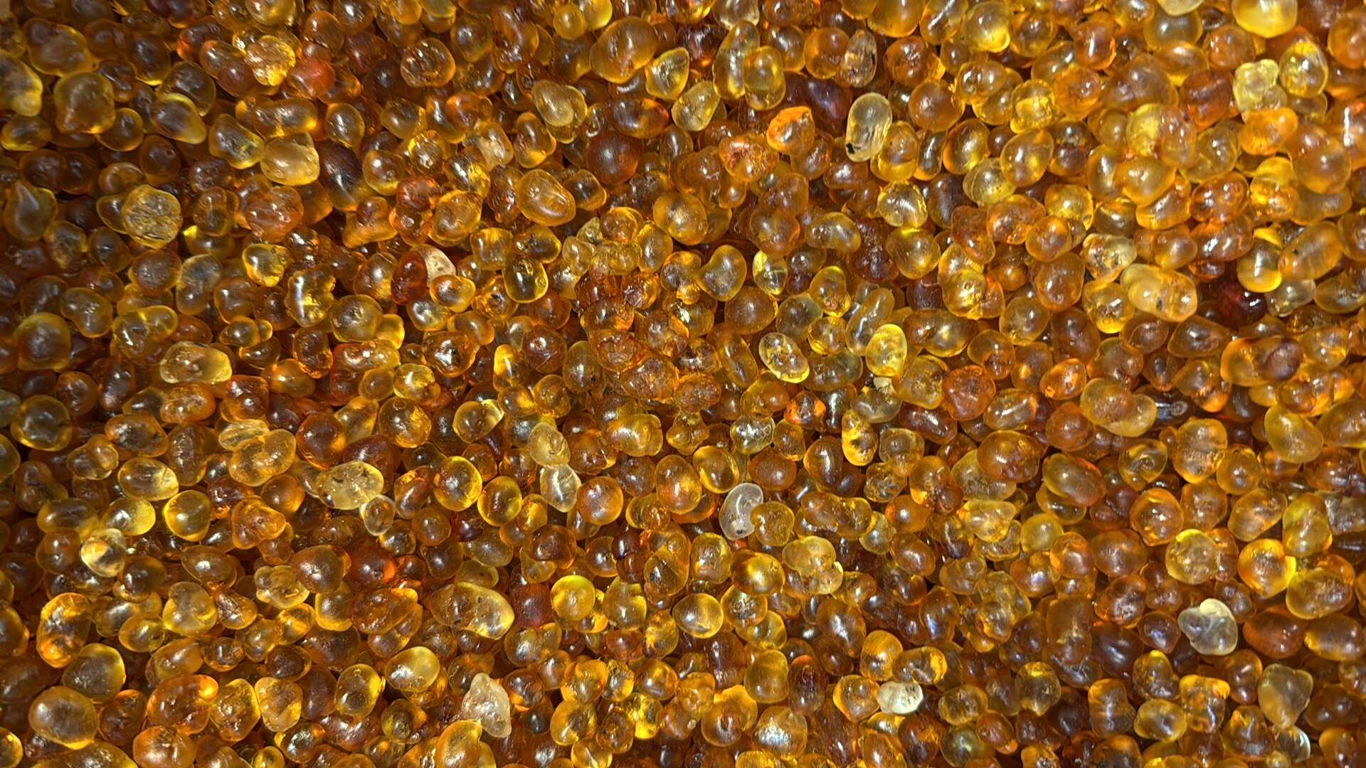 广州桃胶 金黄胶 0.8-1.0 大量批发