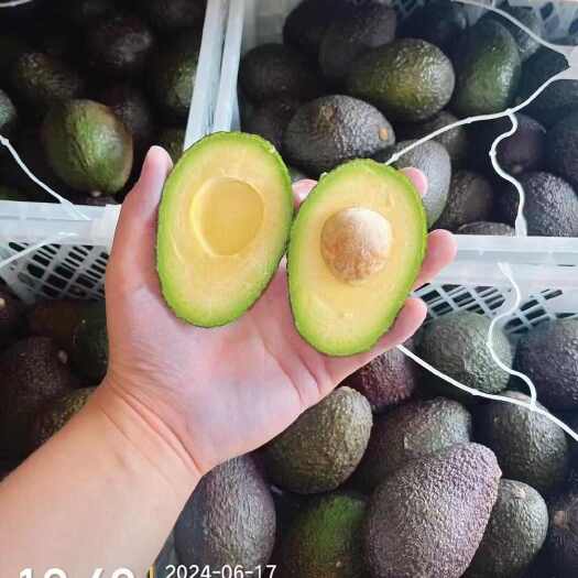 上海秘鲁牛油果 快速发货