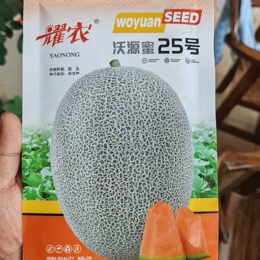 扶沟县耀农抗裂25哈蜜瓜种子带绿道网纹布满全瓜桔红松甜抗病