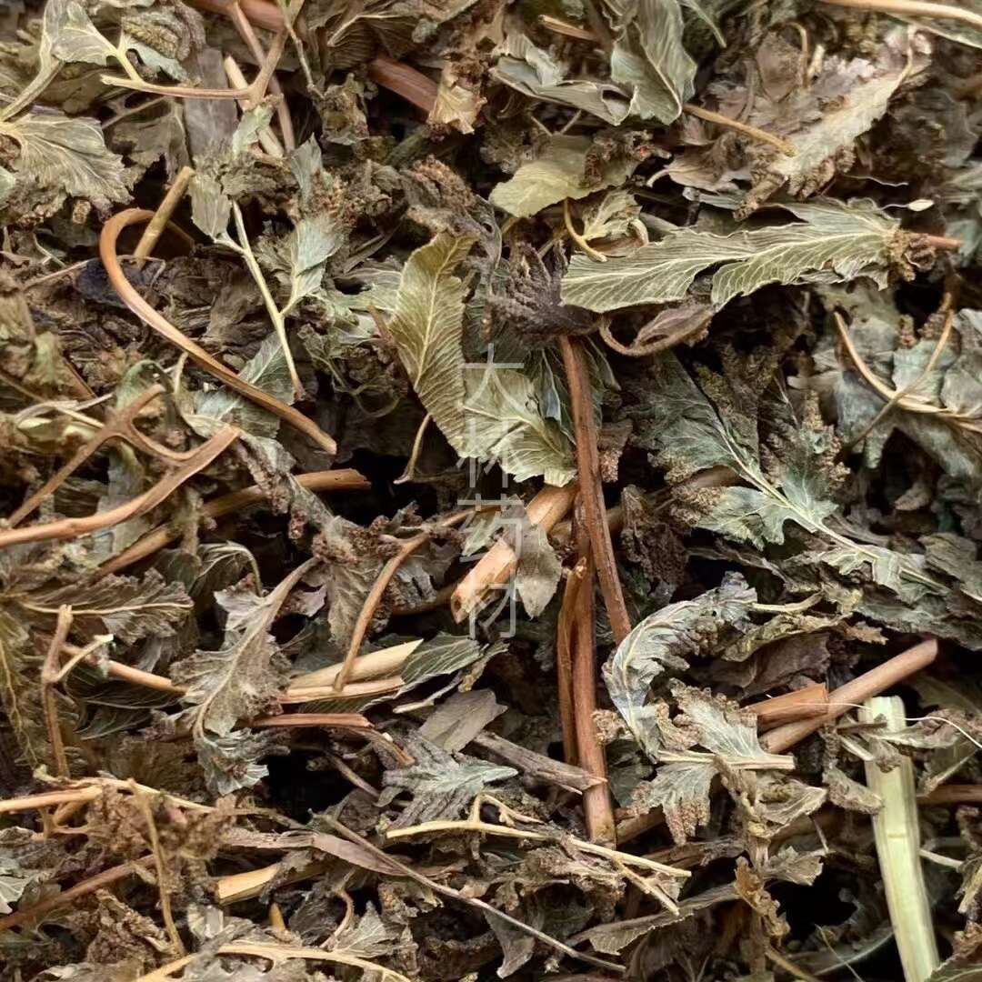 长期供应｛金沙藤｝可批量可零售量大从优【包邮】