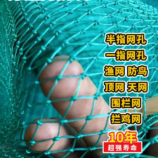 沭阳县养鸡网防鸟网围栏网护栏网