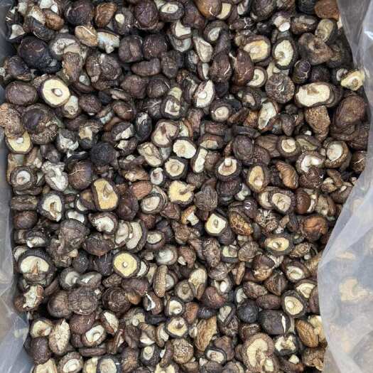 包邮油面冬菇2.5-3干香菇2025新货