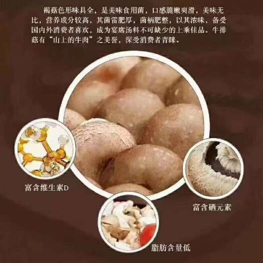 兰考县有机牛排菇