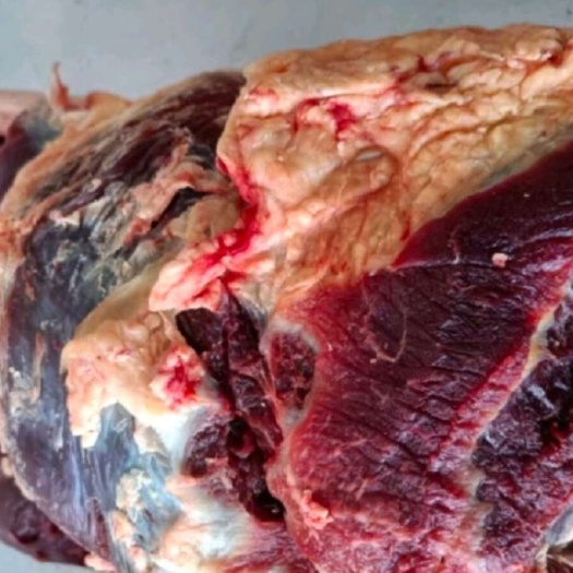 通辽内蒙古草地牛肉，牛腱子