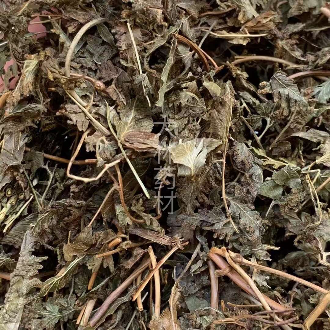 长期供应｛金沙藤｝可批量可零售量大从优【包邮】