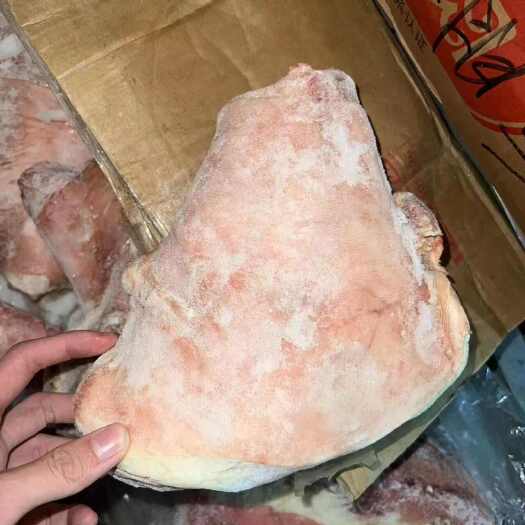 东莞市肥猪前肘