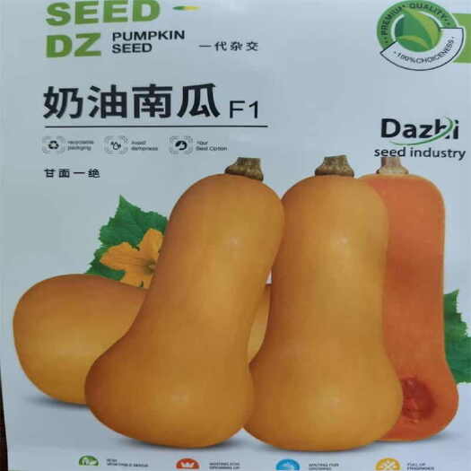 济南奶油南瓜种子 80天可以收获的南瓜种子新品种