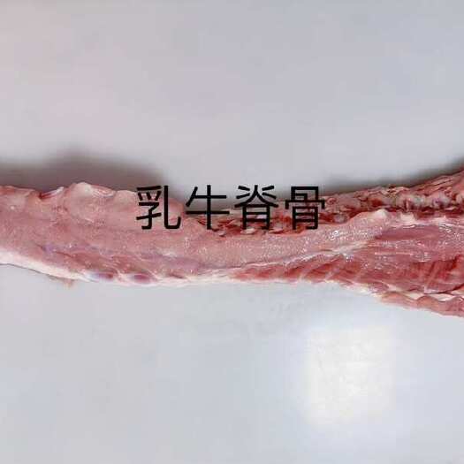 石家庄精选乳牛脊骨 牛蝎子 餐饮 火锅 婚宴 不二之选产品量大的来