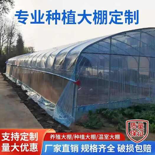 沭阳县大棚骨架全套种植蔬菜养殖温室定制冷棚暖棚连体棚圆管椭圆管钢架