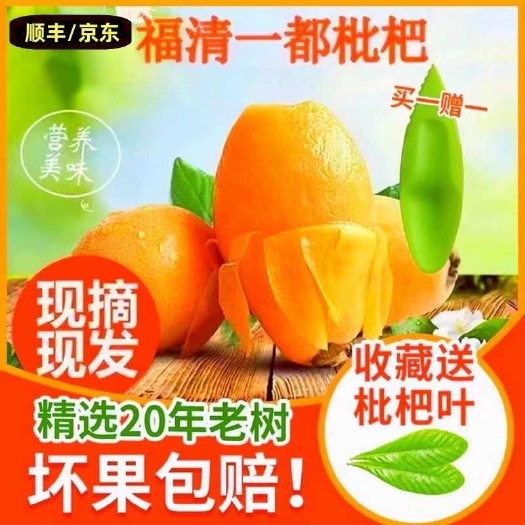 福建福清枇杷10斤新鲜采摘孕妇时令鲜果现摘现发大果云南蒙自