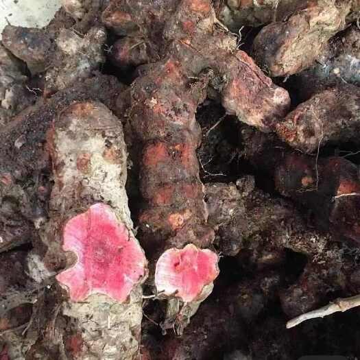 马关县云南文山红肉土茯苓，包邮到家