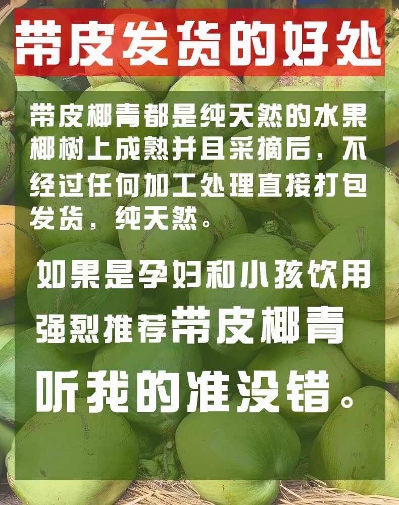 海南椰青新鲜椰子热带当季水果椰汁椰肉海南特产现摘批发