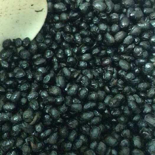 玉林广西玉林特产干豆豉原味黑豆豉干煮菜蒸排骨特香豆豉原油豆鼓散装