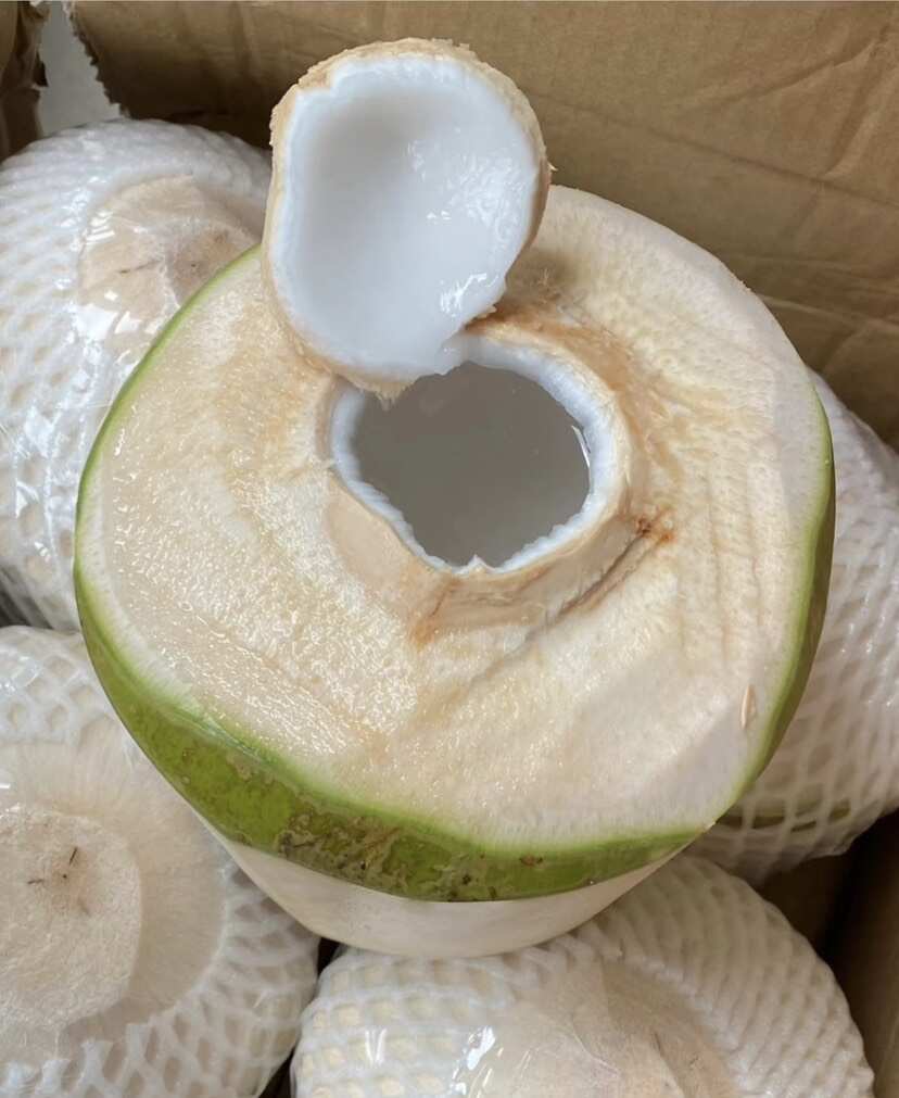 海南椰青新鲜椰子热带当季水果椰汁椰肉海南特产现摘批发