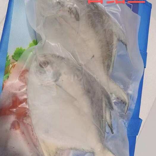 福州白鲳斗鲳冰冻袋装鲳鱼批发，**一手货源大量批发海鲜礼盒