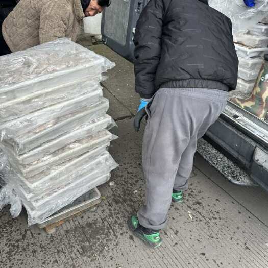 舟山长脚八爪鱼，望潮，
