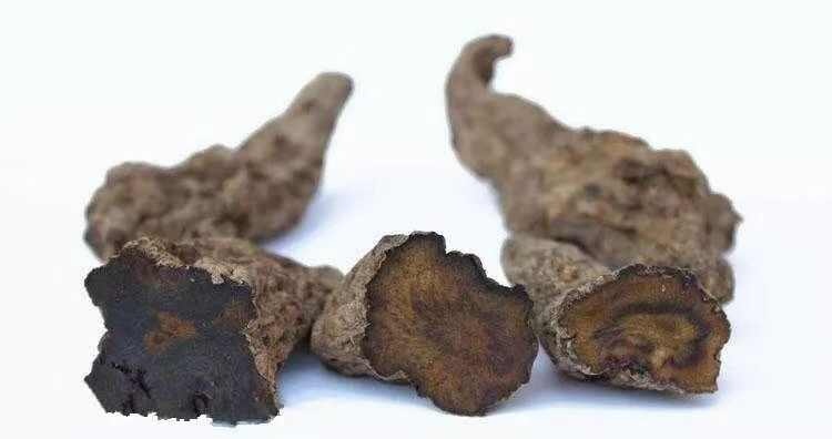温县中药材地黄根茎 河南焦作温县发货 新鲜优质 地道药材