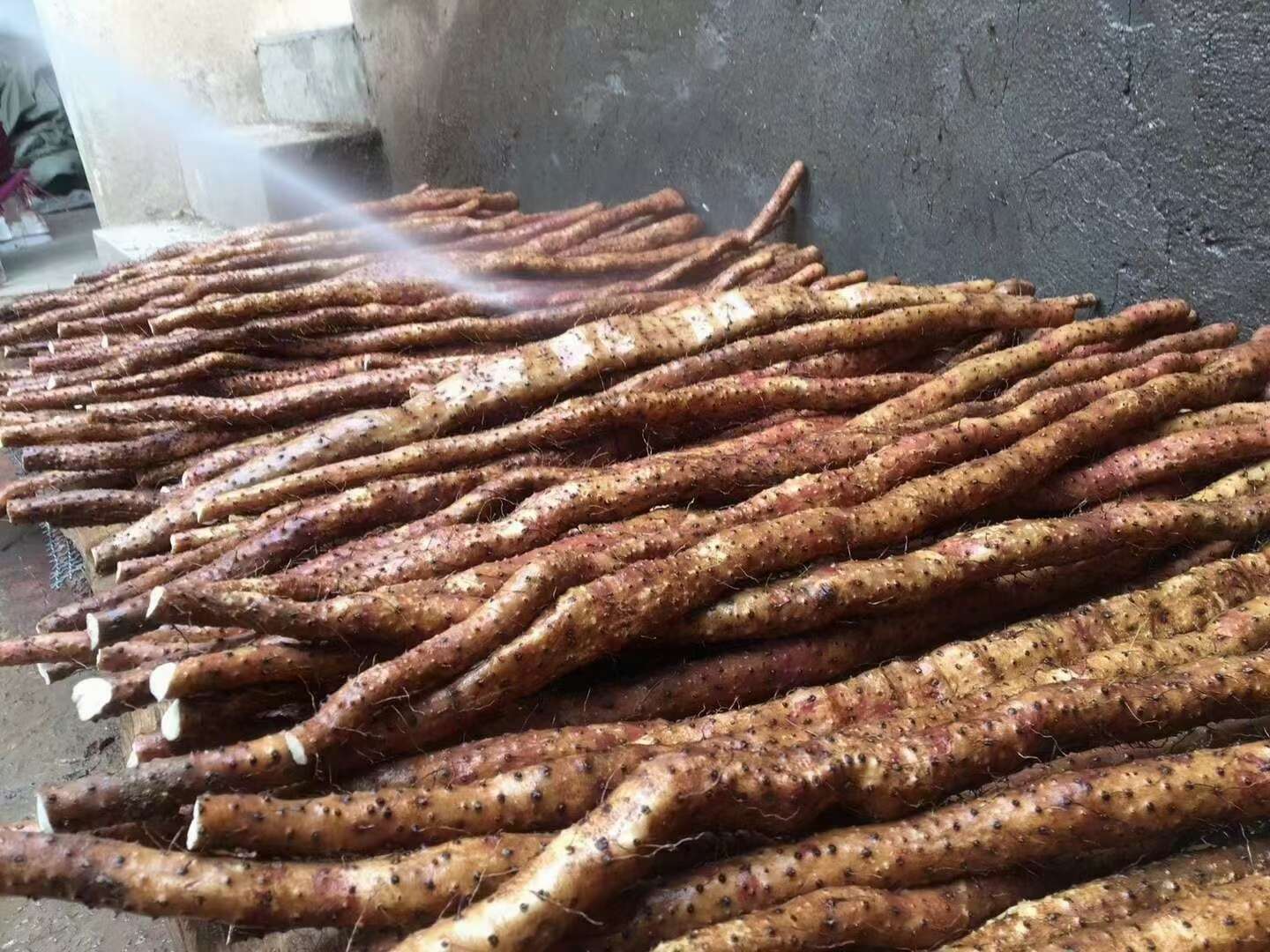 铁棍山药怀山药马蹄片无硫磺接近鲜山药口感美味药食同源