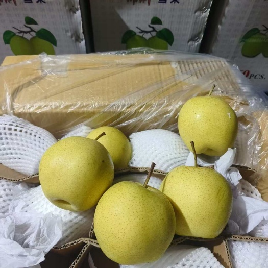 赵县雪花梨