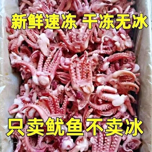 日照小鱿鱼须速冻鱿鱼头鱿鱼爪净重无冰八爪须烧烤铁板食材鱿鱼新鲜