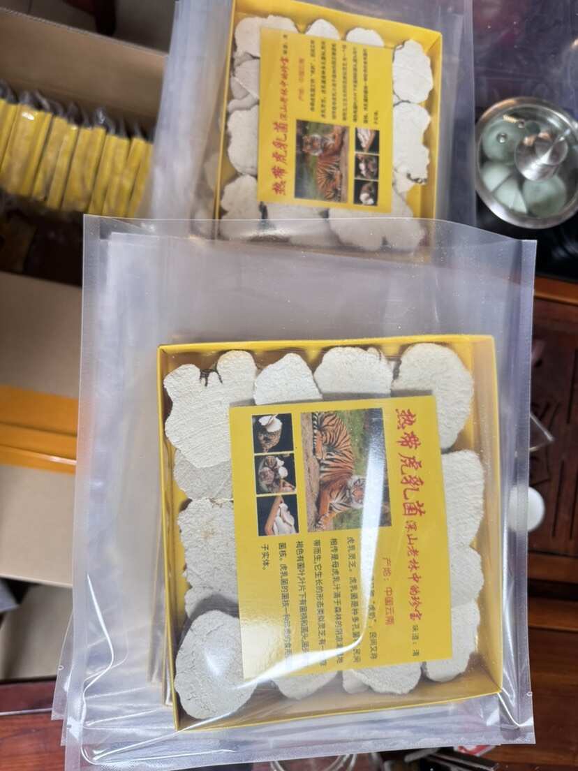广州虎奶菇 盒装 大量有货
