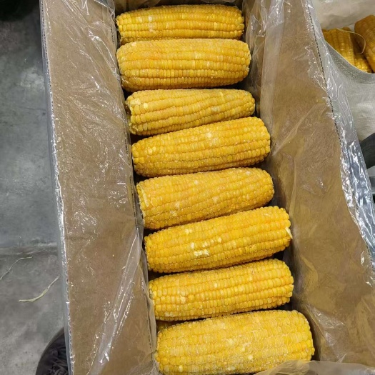 漳州漳州产速冻蔬果 保质期12到18个月 新鲜锁味 农副加工食品