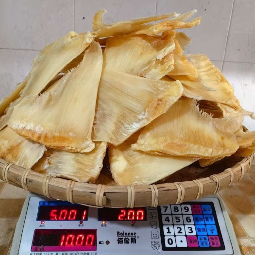 海口金钩鱼翅