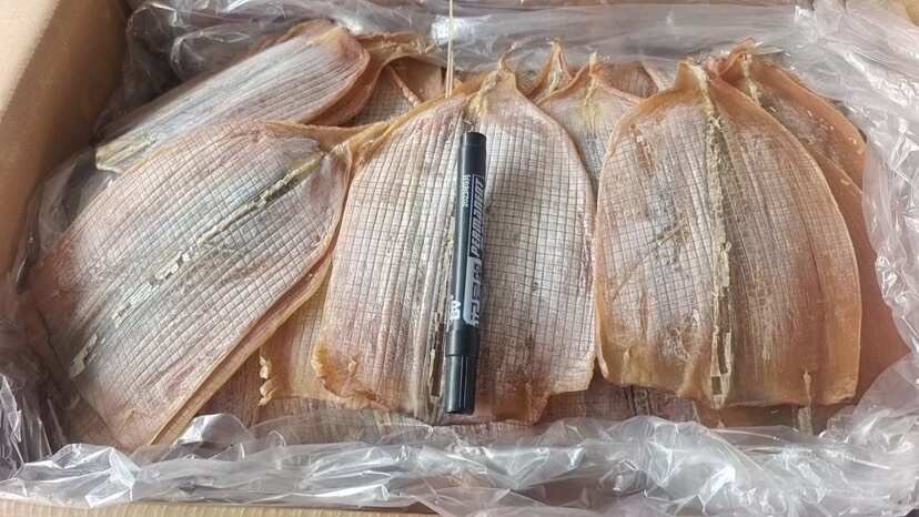 荣成市自己厂晒鱿鱼干 鱿鱼头 鱿鱼片