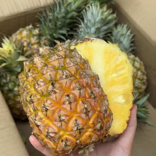 海口现摘海南金钻凤梨新鲜应季水果手撕无眼大菠萝一整箱批发