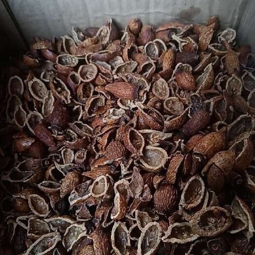 广州金樱子，开边去仁，干净，干度好，泡酒