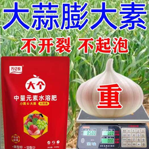 郑州大蒜膨大剂膨大素大蒜专用肥增产专用大蒜膨大叶面肥大蒜增产肥料
