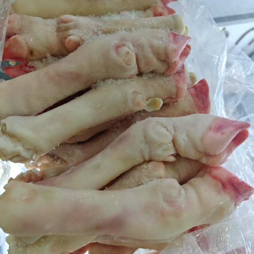 济南羊蹄