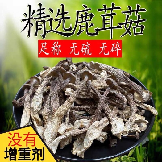 文山市鹿茸菇干货500g精品鹿茸菌云南食用菌香菇脆脆菇煲汤食材产地