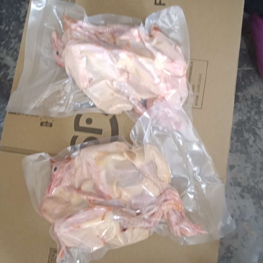 威远县新鲜纯原粮乳鸽
