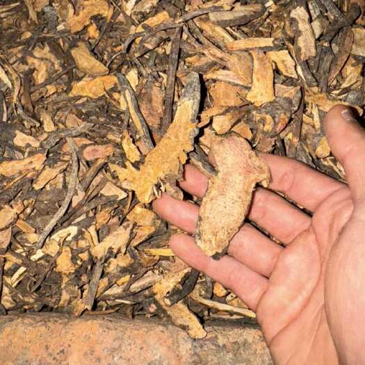 祁东县地榆-干货，无发霉变质，成色好