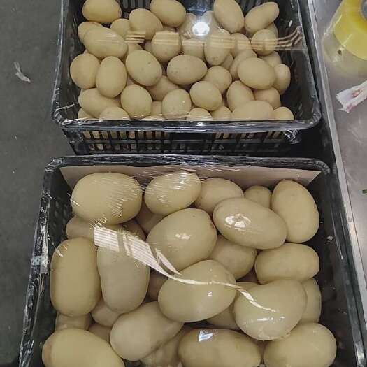 平潭县精品水洗土豆