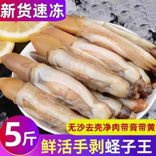 贵港蛏子批发零售