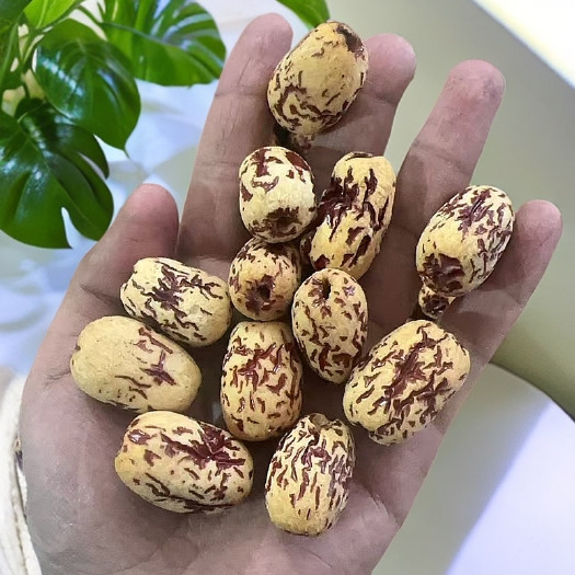 沧县新疆去核虎皮枣休闲零食好吃支持一件代发，整车发货