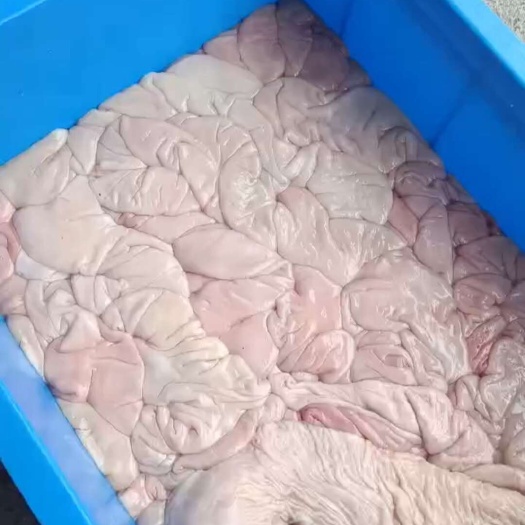 钟山县现杀生鲜猪大肠