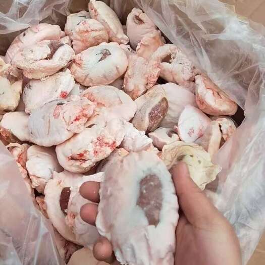 新疆原油腰烧烤羊腰子羊肾鲜冻一件40斤原油腰烧烤全国冷链批发