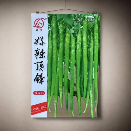 常德【辣椒】好特好辣顶峰早熟长线椒种子 挂果集中 产量高 皮薄肉