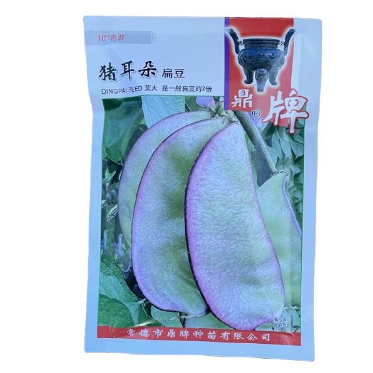 华容县【扁豆】鼎牌猪耳朵扁豆 荚大是一般扁豆的2倍 一年可多次播种