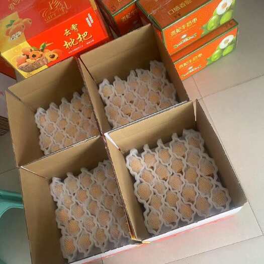 云霄枇杷